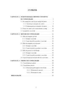 Consolidarea Grupurilor Financiare - Pagina 2