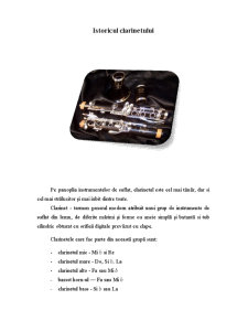 Istoria Clarinetului - Pagina 1