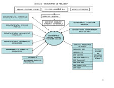 Diagnosticul general al direcției comerciale din cadrul CN Poșta Româna SA - studiu de caz - Pagina 2