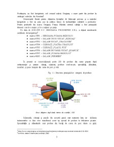 Analiza Sistemului Logistic la Compania Sergiana - Pagina 3