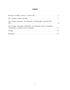 Analiza Bilanțului Contabil al Commerzbank pe Perioada 2005-2011 - Pagina 2