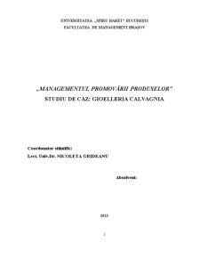 Managementul promovării produselor - studiu de caz Gioelleria Calvagnia - Pagina 2
