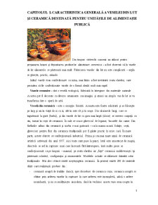 Caracteristica Veselei din Lut și Ceramică Destinată pentru Unitățile de Alimentație Publică - Pagina 4