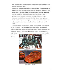 Caracteristica Veselei din Lut și Ceramică Destinată pentru Unitățile de Alimentație Publică - Pagina 5