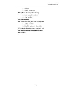 Metode de Imbunatatire a Activitatii Societatii Comerciale Onix Service Auto S.R.L. - Pagina 4