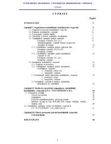 Studiu privind organizarea contabilității imobilizărilor corporale la SC Fotoxpress SRL - Pagina 2