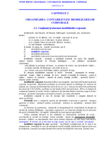 Studiu privind organizarea contabilității imobilizărilor corporale la SC Fotoxpress SRL - Pagina 4