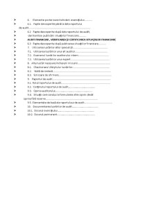 Audit financiar, verificarea și certificarea situațiilor financiare - Pagina 2