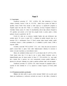 Plan de Afaceri - SC Pro-Albina SRL - Pagina 3