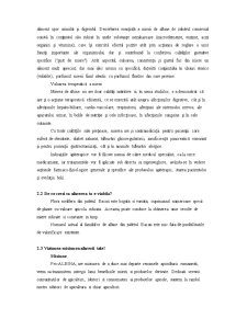 Plan de Afaceri - SC Pro-Albina SRL - Pagina 5