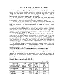 SC Galmopan SA Galați - analiză financiară - Pagina 2