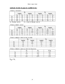 Tematica Licenta Management - Pagina 24