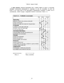 Tematica Licenta Management - Pagina 29