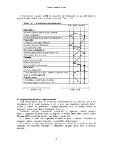 Tematica Licenta Management - Pagina 30