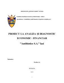 Analiza și diagnostic economic-financiar la Antibiotice SA Iași - Pagina 1