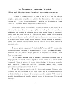 Analiza și diagnostic economic-financiar la Antibiotice SA Iași - Pagina 2