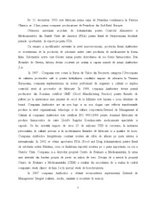 Analiza și diagnostic economic-financiar la Antibiotice SA Iași - Pagina 3
