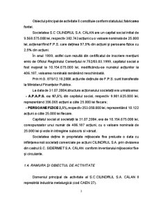 Analiza diagnostic și evaluarea SC Cilindrul SA Călan - Pagina 3