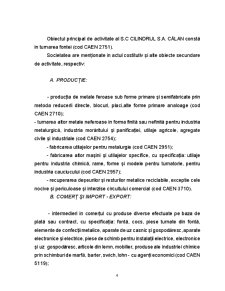 Analiza diagnostic și evaluarea SC Cilindrul SA Călan - Pagina 4