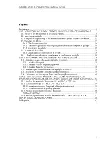 Activități, tehnici și strategii privind creditarea curentă - Pagina 3