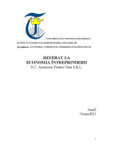 Economia întreprinderii SC Accesorii Pentru Tine SRL - Pagina 1