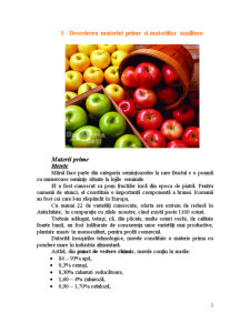 Conservarea prin concentrare, fără zahăr, a merelor - Pagina 3