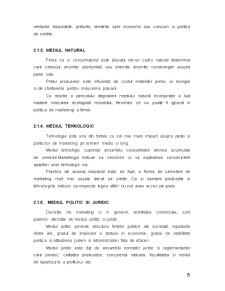 Program de Marketing Netmedia - Pagina 5