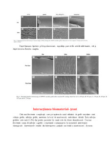 Caracteristici de suprafață pentru grefele vasculare - Pagina 4