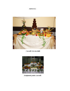 Studiul privind concurența în cadrul restaurantelor cu regim catering din Municipiul Cluj-Napoca - Pagina 2