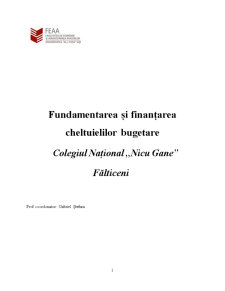 Fundamentarea cheltuielilor și veniturilor la Colegiul Național Nicu Gane, Fălticeni - Pagina 1