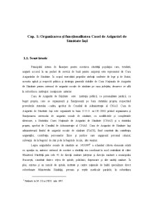 Fundamentarea și Finanțarea Cheltuielilor Bugetare la Casa de Asigurări de Sănătate Iași - Pagina 3