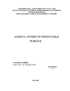 Audit intern în instituții publice - Pagina 1