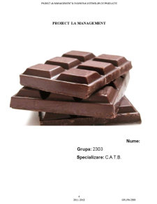 Management și ingineria sistemelor de producție - ciocolată - Pagina 4