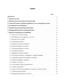 Managementul proiectelor - Pagina 2