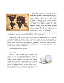 Aparate electrocasnice - filtre de cafea și expressoare - Pagina 4