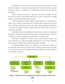 Biocombustibili - Pagina 4