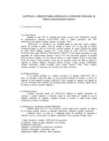 Prezentarea companiei de asigurări Omniasig - Pagina 1