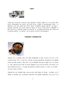 Utilizarea vaselor metalice în unitățile de alimentație publică - Pagina 5