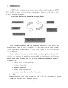 Strategia calității la firma SC Compa SA - Pagina 4