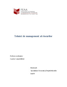 Tehnici de Management al Riscurilor - Pagina 1