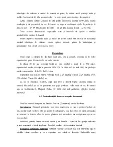 Influența epocilor de semănat asupra productivității orzului de toamnă - Pagina 5