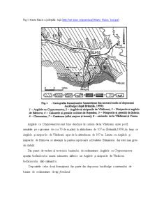 Petrografia Formațiunilor Argiloase din Cariera de la Vlădiceni - Pagina 3