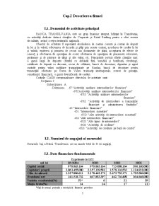 Mangementul organizației pe exemplul Banca Transilvania - Pagina 3