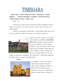 Timișoara - Pagina 1