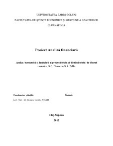 Analiza economică și financiară al producătorului și distribuitorului de blocuri ceramice SC Cemacon SA Zalău - Pagina 1