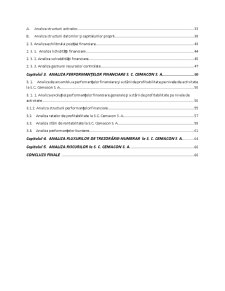 Analiza economică și financiară al producătorului și distribuitorului de blocuri ceramice SC Cemacon SA Zalău - Pagina 3