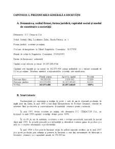 Analiza economică și financiară al producătorului și distribuitorului de blocuri ceramice SC Cemacon SA Zalău - Pagina 4