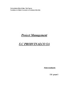 Plan de Afaceri - SC Prodvinalco SA - Pagina 1