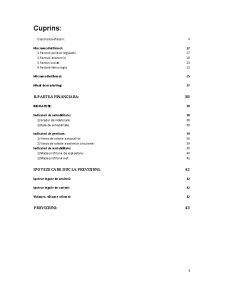 Plan de Afaceri - SC Prodvinalco SA - Pagina 3