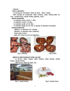 Caracterizarea Fluxului Tehnologic al Preparatelor din Carne Crude și Uscate - Pagina 3